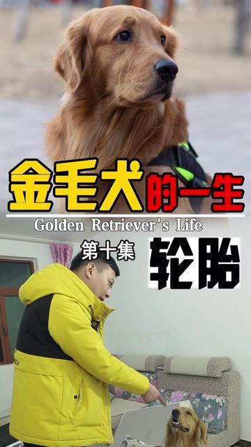 轮胎粑粑: 误会轮胎了